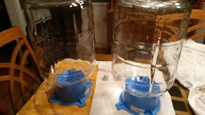 WCG - 2 clean carboys 400w