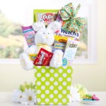 Easter Treats and Bunny Collection