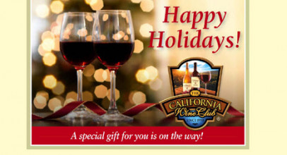 Last Minute Shopping for a Wine Lover? Here's the perfect gift! (updated December 2021)