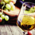 TastingRoom.com Tasting Kit